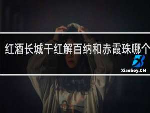 红酒长城干红解百纳和赤霞珠哪个好喝
