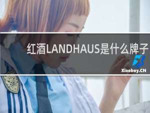 红酒LANDHAUS是什么牌子
