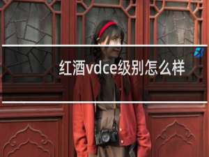 红酒vdce级别怎么样