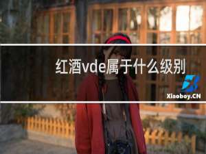 红酒vde属于什么级别