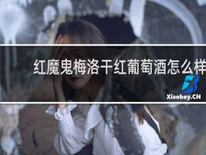 红魔鬼梅洛干红葡萄酒怎么样