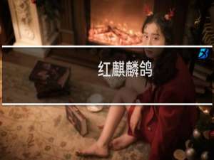 红麒麟鸽