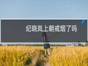 纪晓岚上朝戒烟了吗