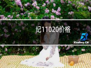 纪110 价格