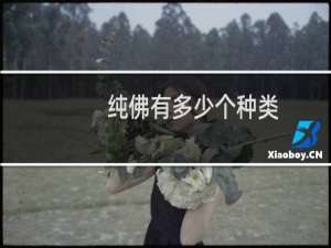 纯佛有多少个种类