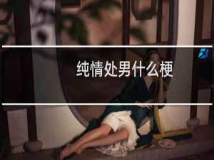纯情处男什么梗
