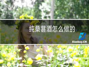 纯桑葚酒怎么做的