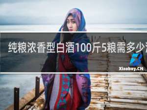 纯粮浓香型白酒100斤5粮需多少酒曲