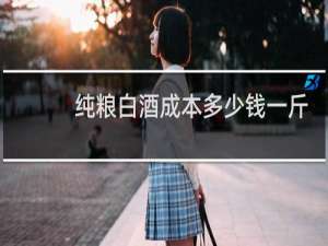 纯粮白酒成本多少钱一斤