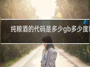 纯粮酒的代码是多少gb多少度啊