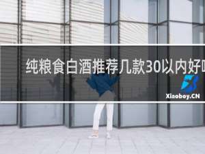 纯粮食白酒推荐几款30以内好喝