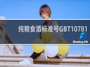 纯粮食酒标准号GBT10781