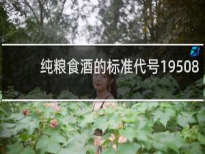 纯粮食酒的标准代号19508