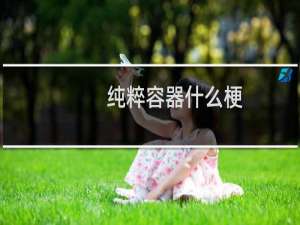 纯粹容器什么梗？什么梗
