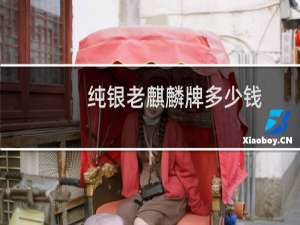 纯银老麒麟牌多少钱