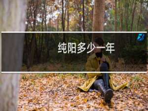 纯阳多少一年