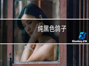 纯黑色鸽子