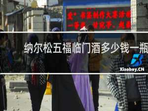 纳尔松五福临门酒多少钱一瓶