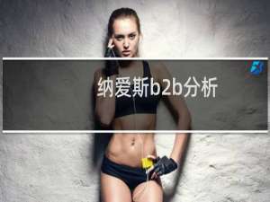 纳爱斯b2b分析