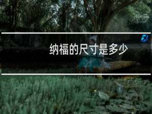 纳福的尺寸是多少