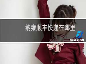 纳雍顺丰快递在哪里