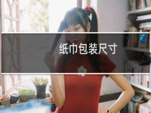 纸巾包装尺寸