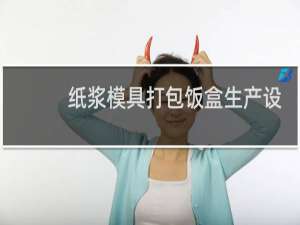 纸浆模具打包饭盒生产设备
