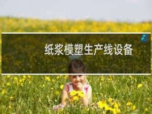 纸浆模塑生产线设备