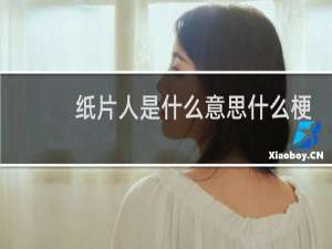 纸片人是什么意思什么梗