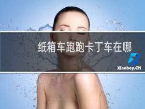 纸箱车跑跑卡丁车在哪