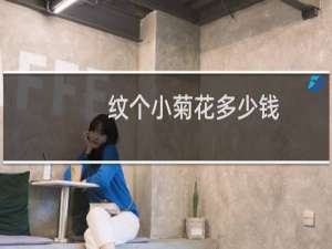 纹个小菊花多少钱