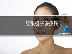 纹银梳子多少钱