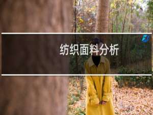 纺织面料分析