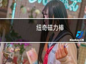 纽奇磁力棒