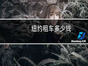 纽约租车多少钱
