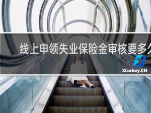 线上申领失业保险金审核要多久