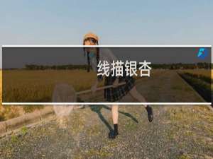 线描银杏