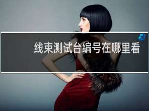 线束测试台编号在哪里看