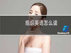 组织英语怎么读