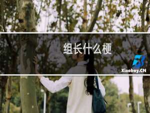 组长什么梗