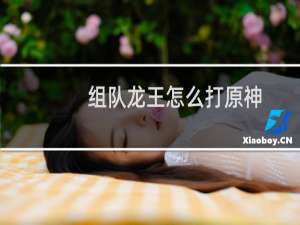 组队龙王怎么打原神