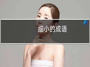 细小的成语