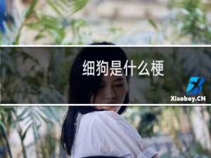 细狗是什么梗