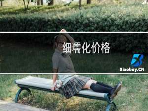 细糯化价格