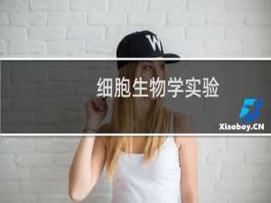 细胞生物学实验