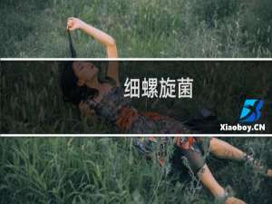 细螺旋菌（细螺旋病毒）