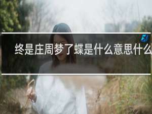 终是庄周梦了蝶是什么意思什么梗