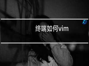 终端如何vim