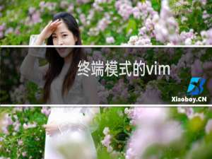 终端模式的vim