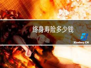 终身寿险多少钱